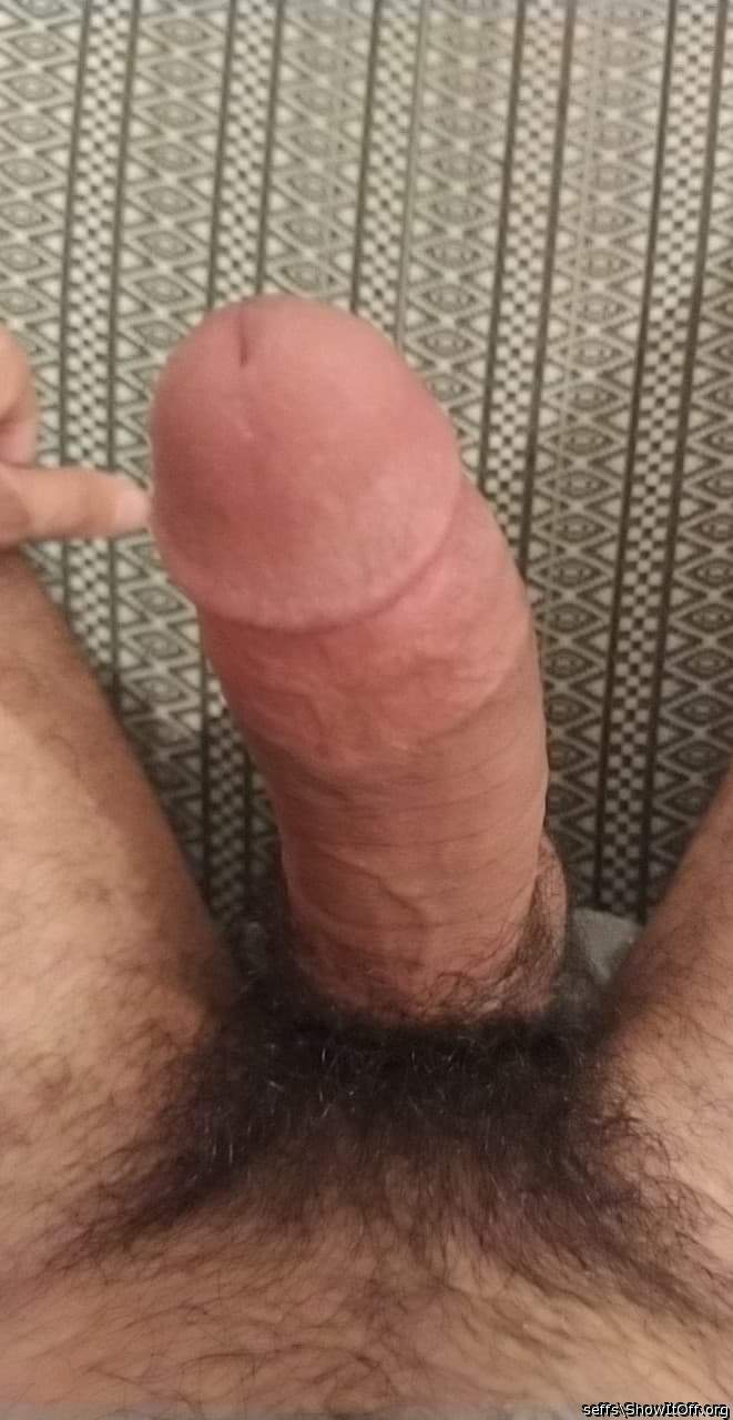Adult image from seffs