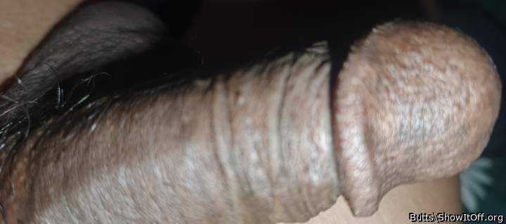 Adult image from Butts
