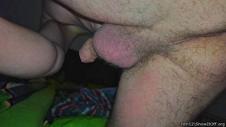 Adult image from hlm12