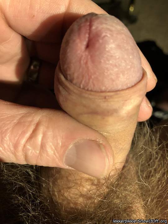 Adult image from lekkerpikkie