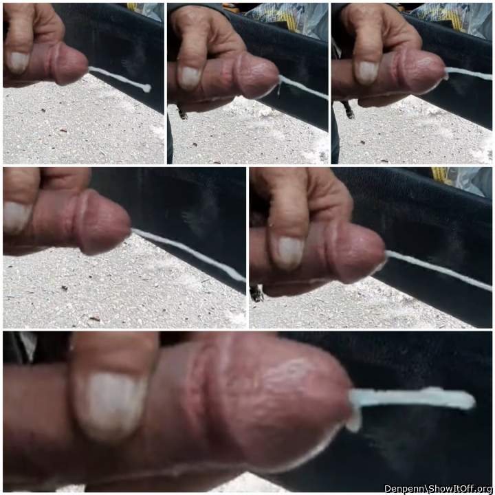 Adult image from Denpenn
