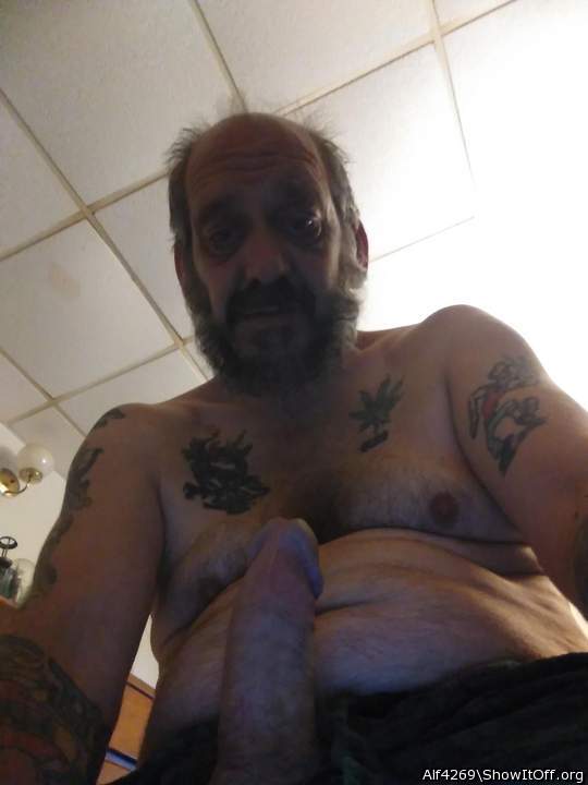 Adult image from Alf4269