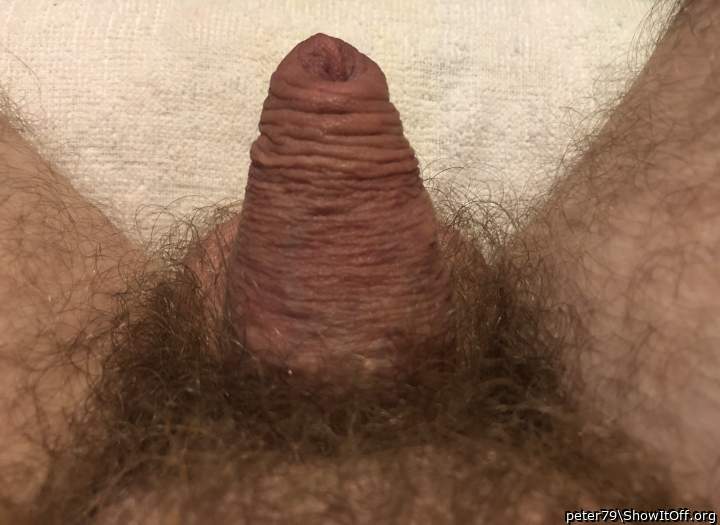 Adult image from peter79