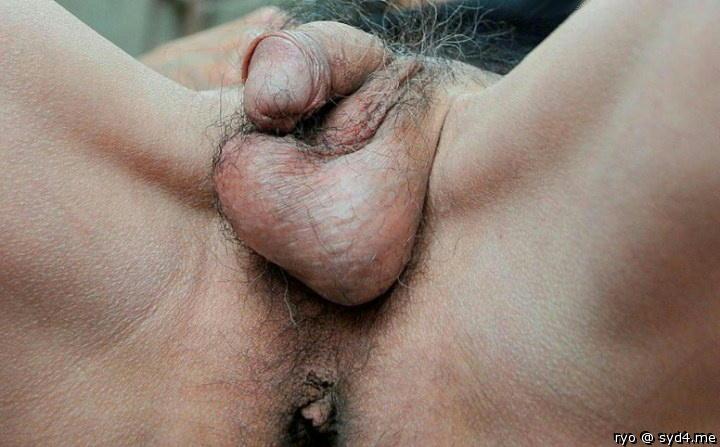 Adult image from ryo