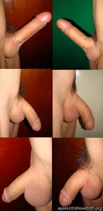 Adult image from apolo10