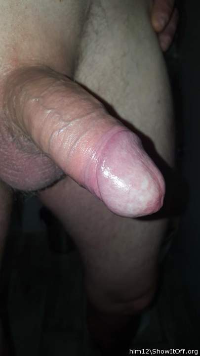 Adult image from hlm12