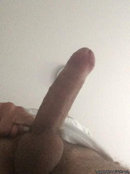 Adult image from hugo2
