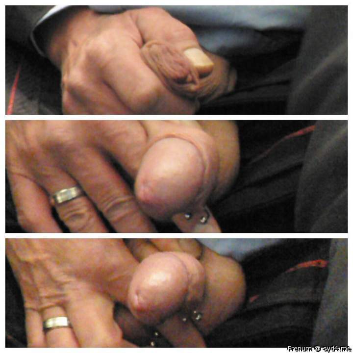 Adult image from Frenum