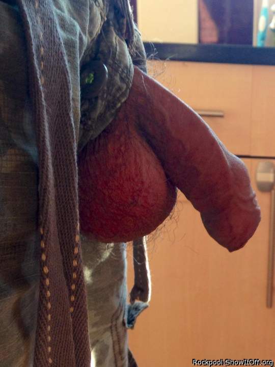 Adult image from Rockpool