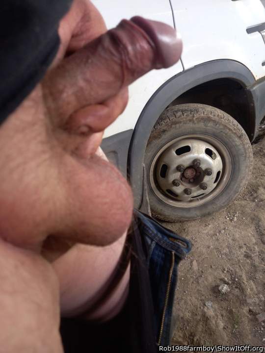 Adult image from Rob1988farmboy