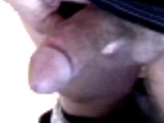 Adult image from arctic11