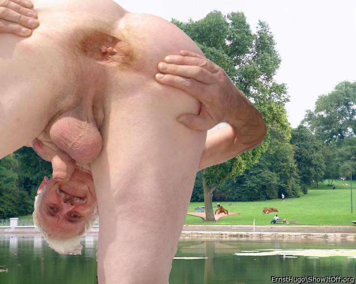 KMein Arschloch