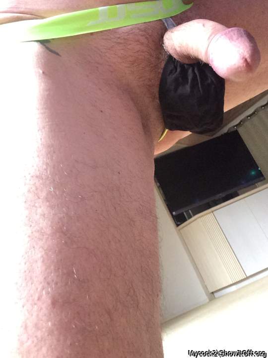 Adult image from Mycock2