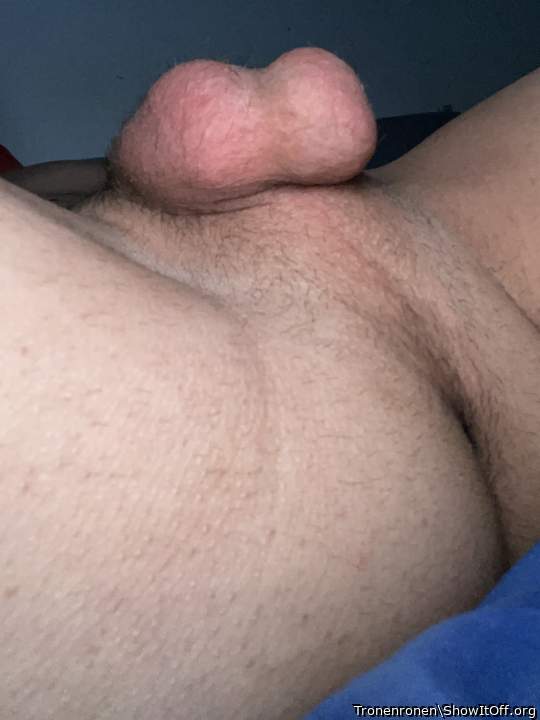 Adult image from Tronenronen