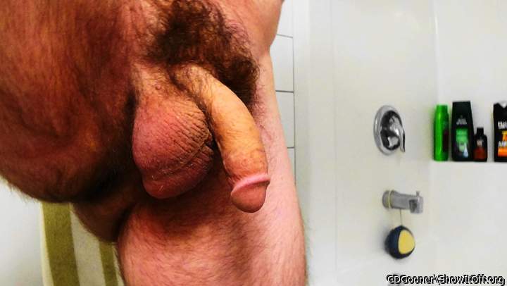 Adult image from CDGooner