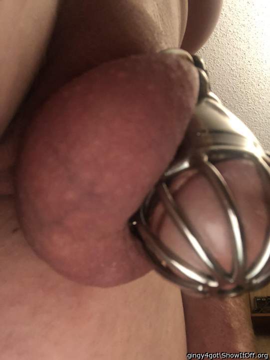 Adult image from Gingy4got