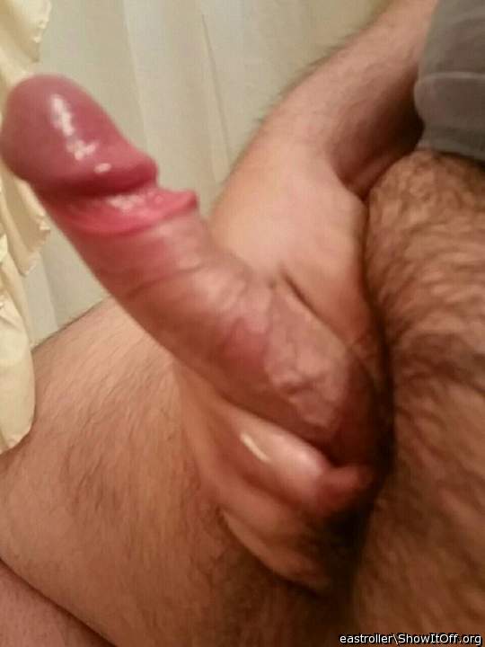 Adult image from *Humpy_Rugmuncher