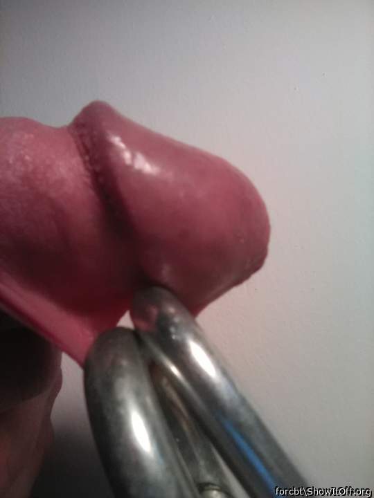 Adult image from forcbt