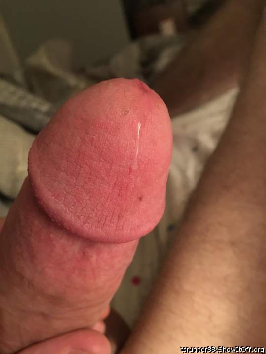 Adult image from tsrunner88