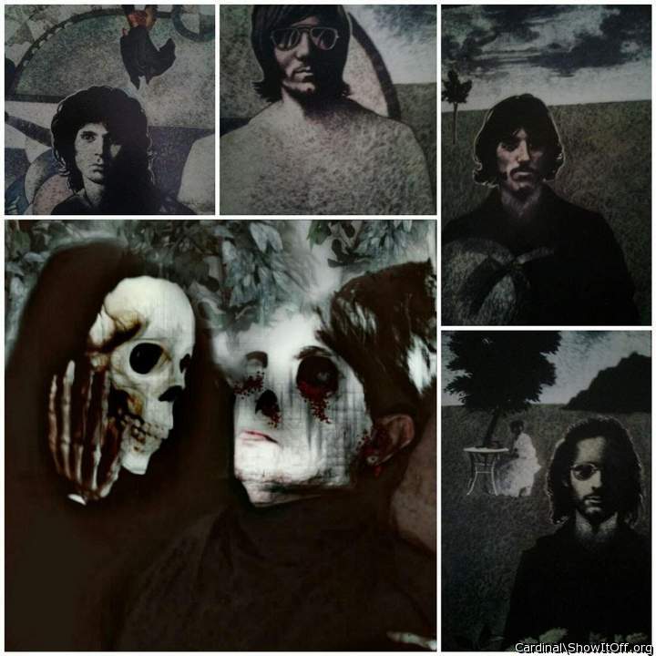 Adult image from cardinal