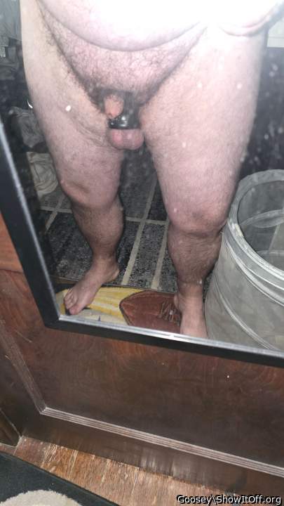 Adult image from Goosey