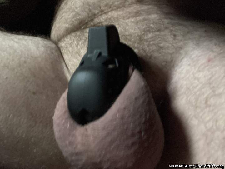 Adult image from MasterTelm