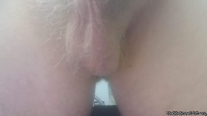 Adult image from 15x55