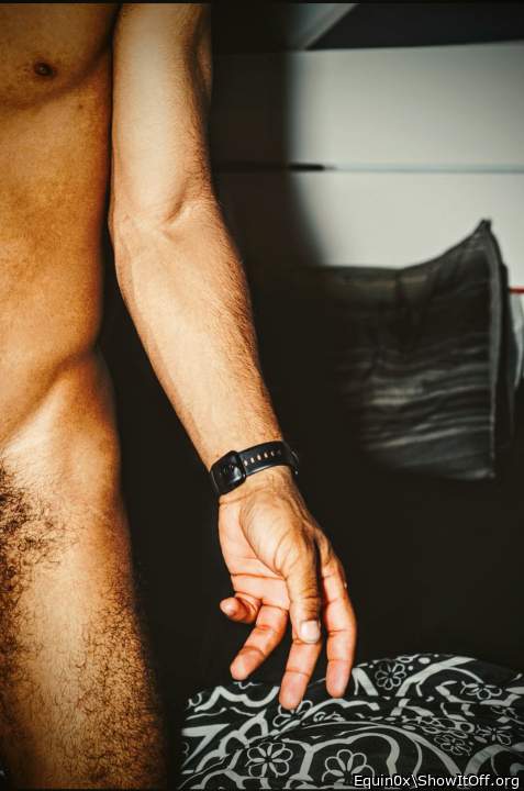 Adult image from Equin0x