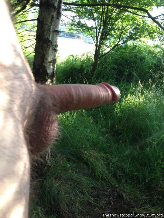 Adult image from Theshowstoppa