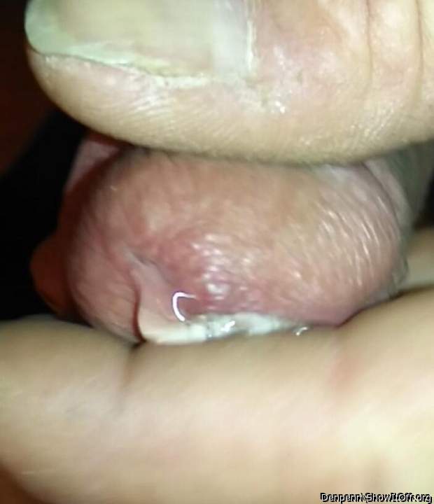 Adult image from Denpenn