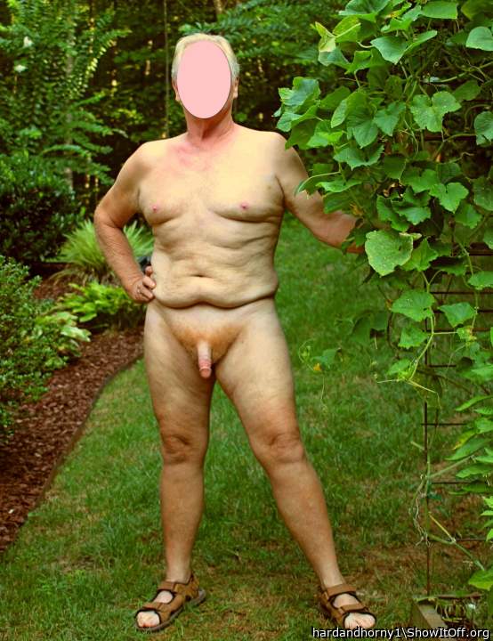 Holding my cucumber vine