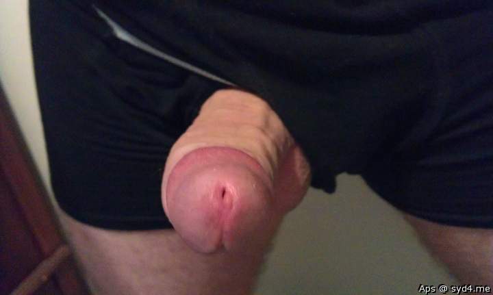 Adult image from Aps