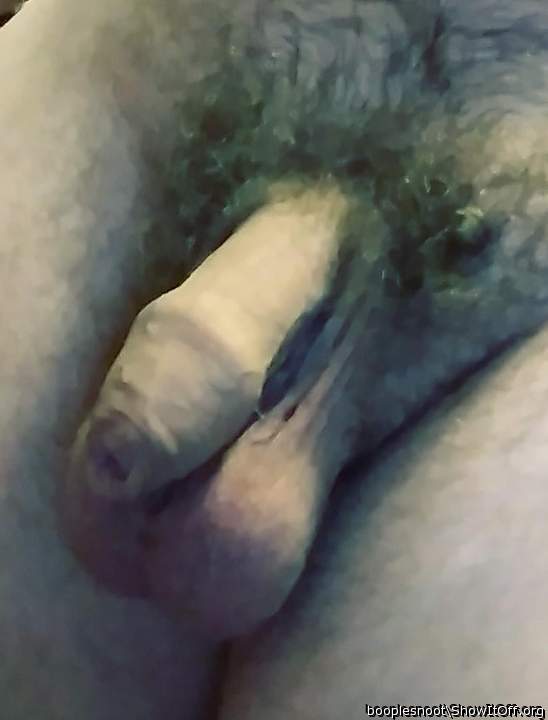 Adult image from booplesnoot
