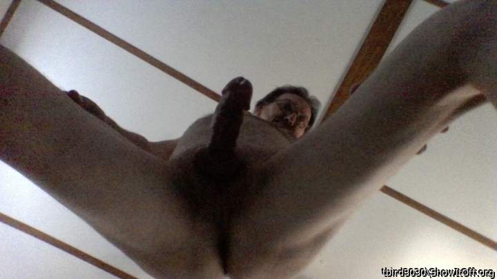 Adult image from tbird3030