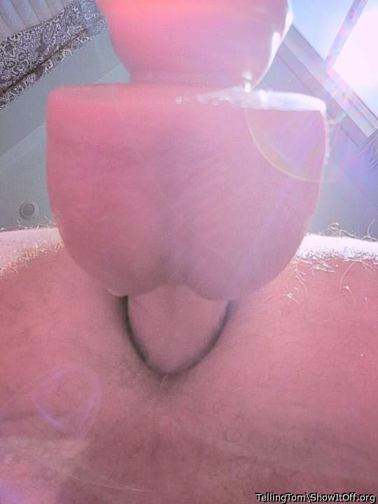 Adult image from TellingTom