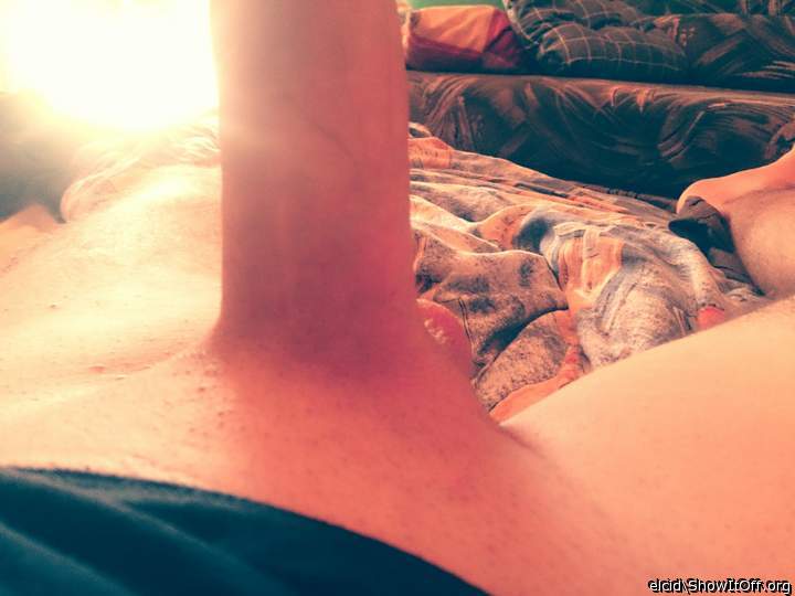 Adult image from elcid