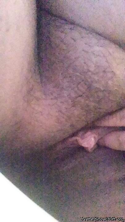 ready to be stuffed