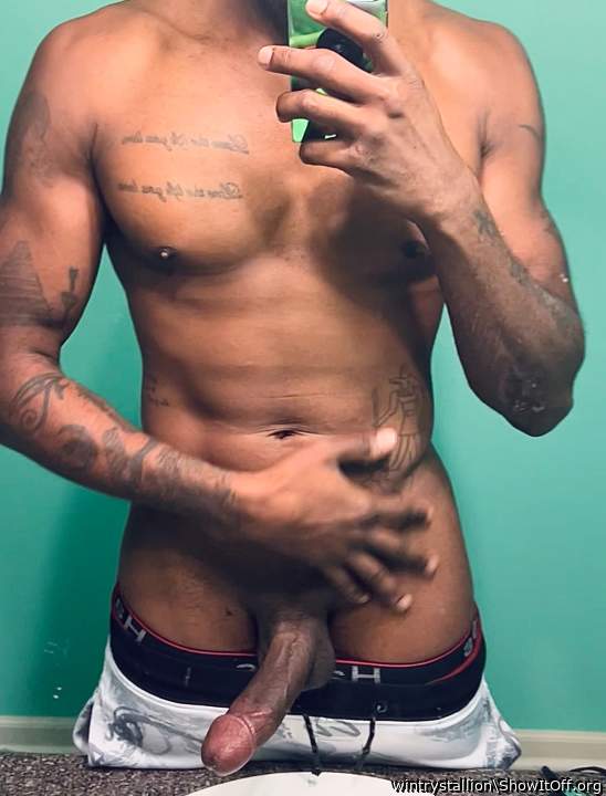 Adult image from wintrystallion