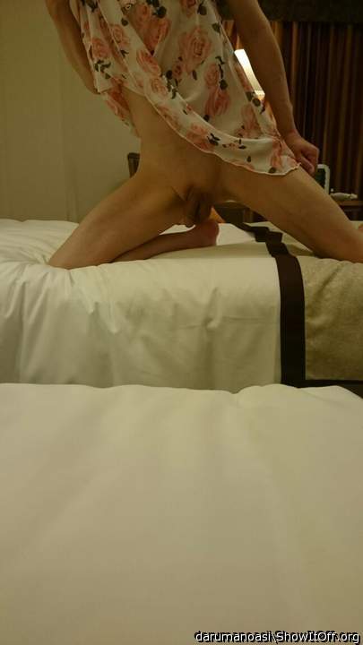Adult image from darumanoasi