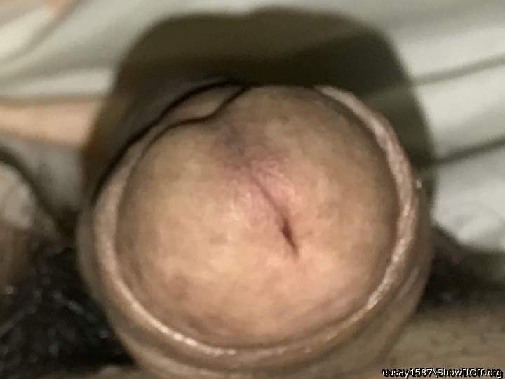 Adult image from eusay1587
