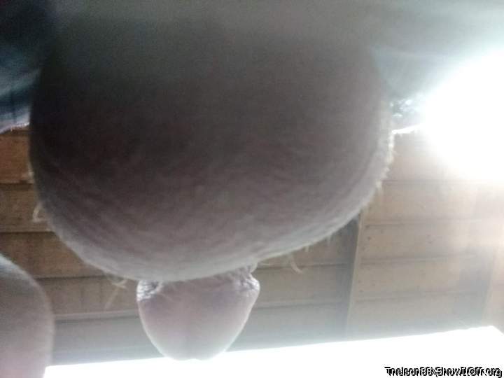 Adult image from Tnelson88