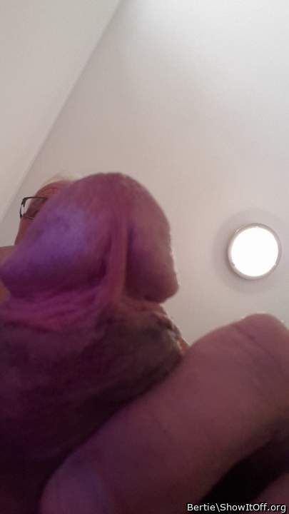 Adult image from Bertie