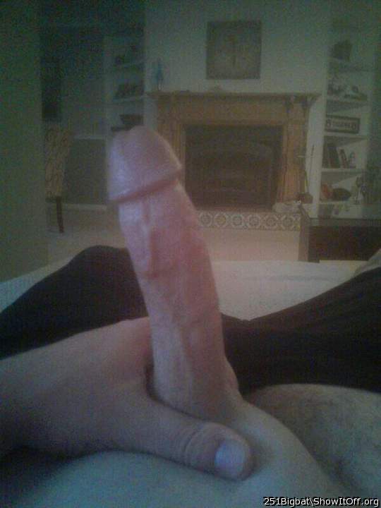 Adult image from 251bigbat