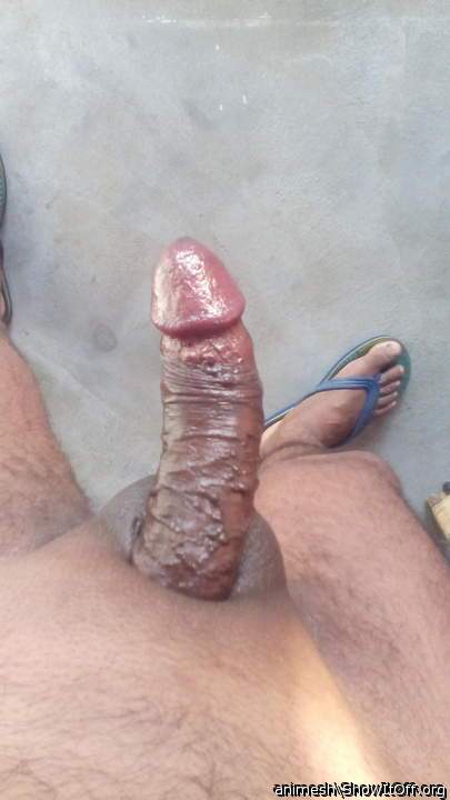Adult image from Animesh