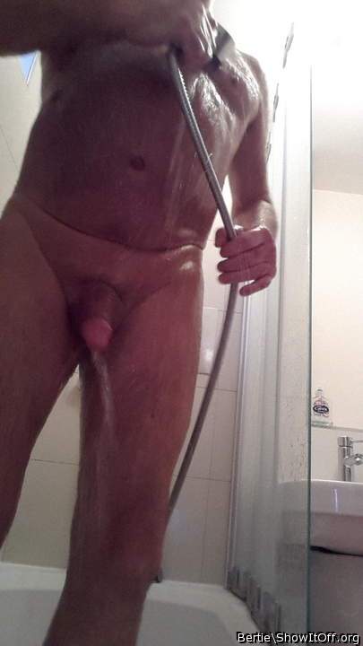 Adult image from Bertie