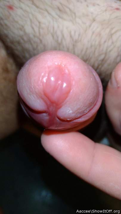Adult image from Aaccee
