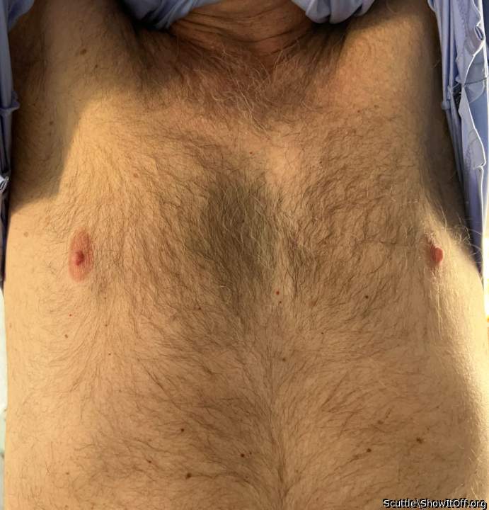 Adult image from Scuttle