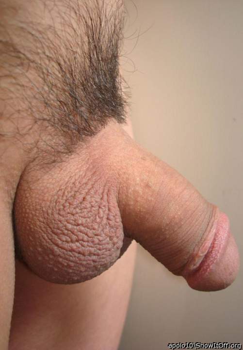 Adult image from apolo10
