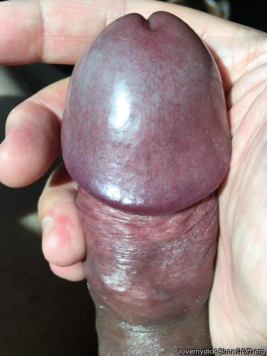 Adult image from ilovemydick