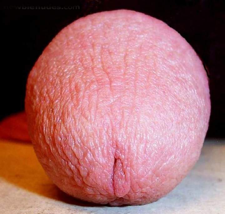 Adult image from lilsoftee